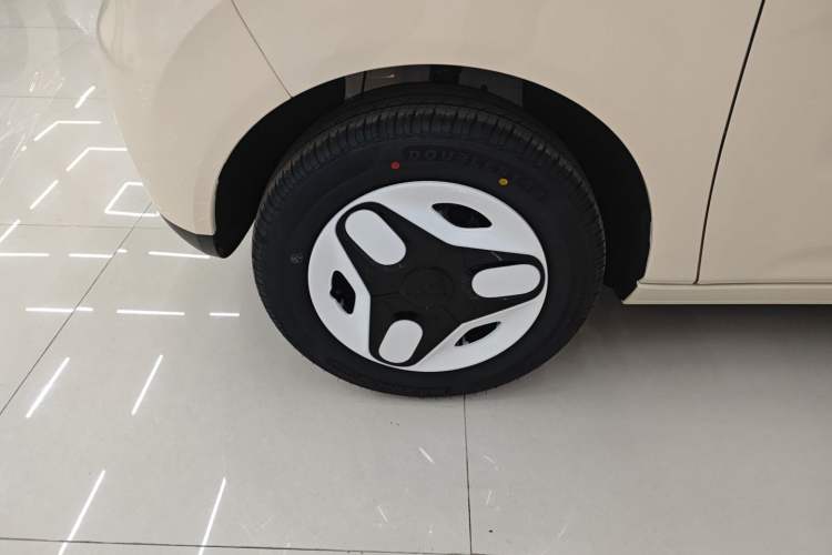 Used  Panda 2025 210 km – Yuanqi Bear
