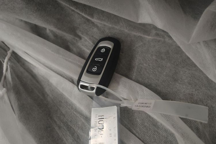 Used  Panda 2025 210 km – Yuanqi Bear
