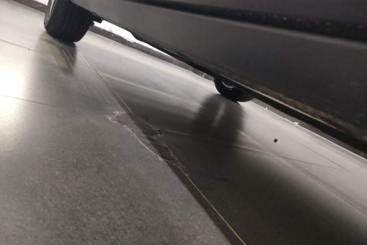 Used  Geome 2025 310km Dream Edition
