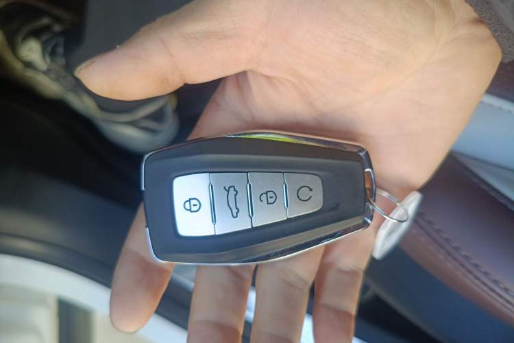 Used Geely Auto Monjaro L 2021 2.0TD DCT EVO Two-Wheel Drive Prestige Version
