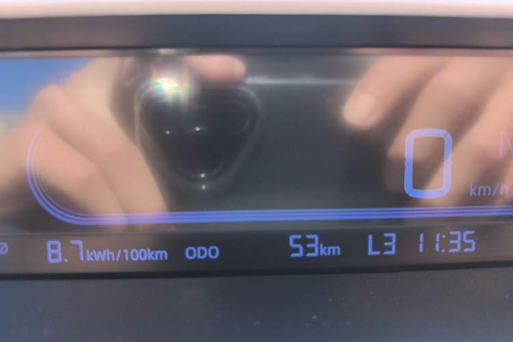 Used  Panda 2024 Panda Mini 200km Endurance Bear
