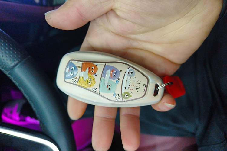 Used Hongqi H5 2023 2.0T Automatic Smart Connect Flagship Edition
