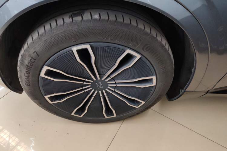 Used  07 2024 Max Extended-Range Edition
