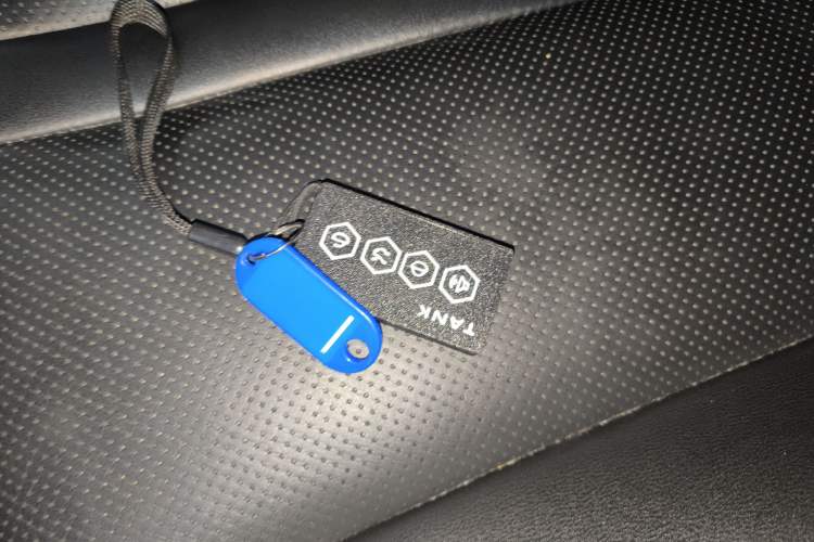 Used Tank 300 2021 Off-Road Edition 2.0T Conqueror
