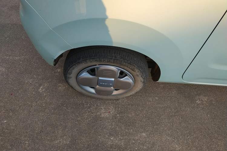 Used  Panda 2023 Panda Mini 200km Endurance Bear
