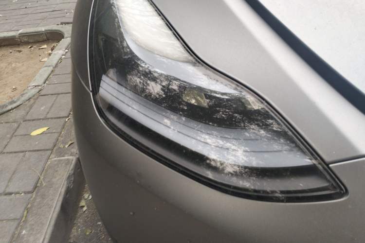 Used Tesla Model Y 2022 Revised Version Long-Range All-Wheel Drive
