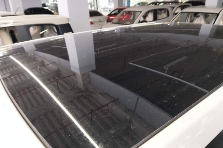 Used  Panda 2023 Panda Mini 200km Dynamic Bear
