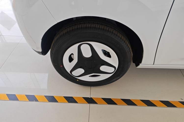 Used  Panda 2025 210 km – Yuanqi Bear
