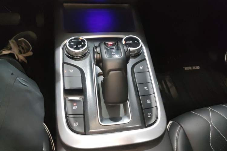 Used Tank 300 2021 City Edition 2.0T My Vision Model
