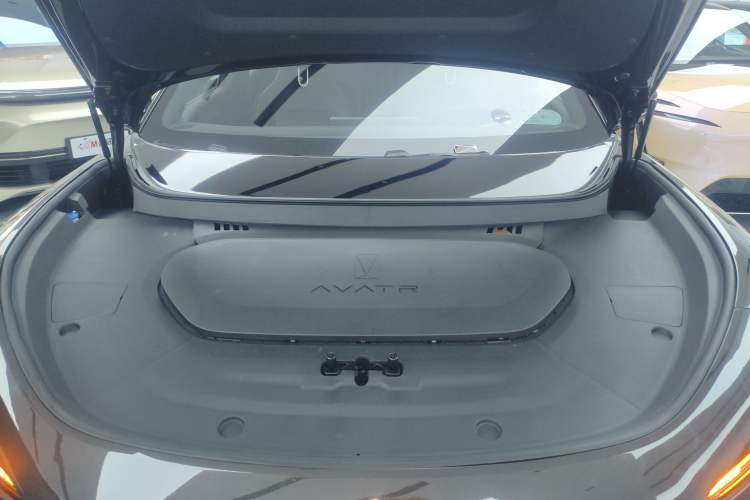 Used  07 2024 Max Extended-Range Edition
