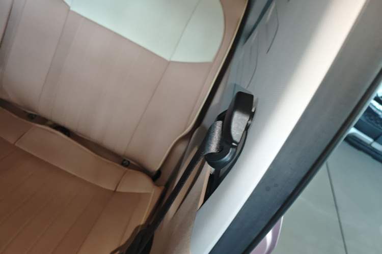 Used  Panda 2023 Panda Mini 200km Endurance Bear
