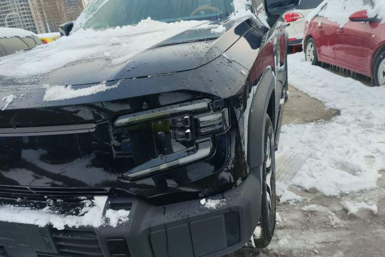 Used  G318 2024 Two-Wheel Drive Air Suspension Version