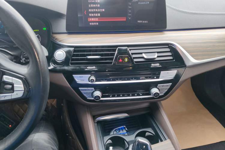 Used BMW 5 Series New Energy 2019 530Le Luxury Package
