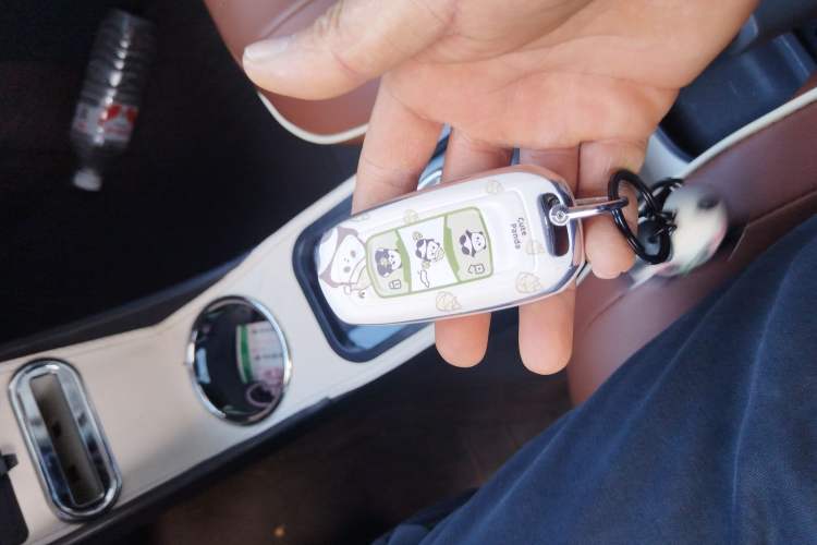 Used Geely Galaxy Panda 2023 Panda Mini 200km Endurance Bear
