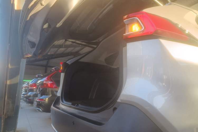 Used Toyota Wildlander 2020 2.0L CVT Two-Wheel Drive Leading Edition
