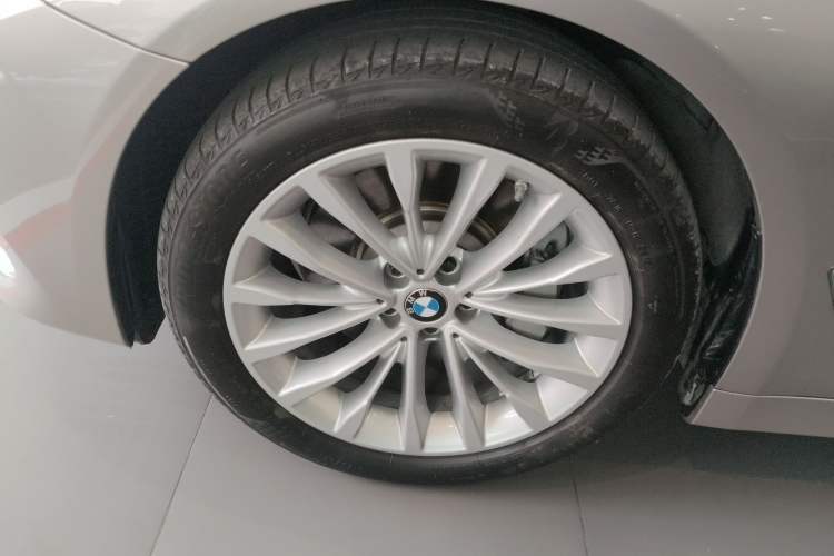 Used BMW 5 Series New Energy 2020 530Le Luxury Package
