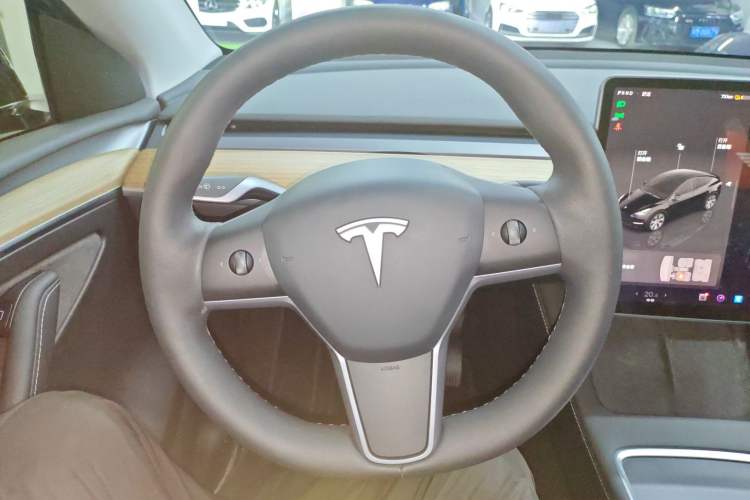 Used Tesla Model Y 2022 Revised Version Rear-Wheel Drive

