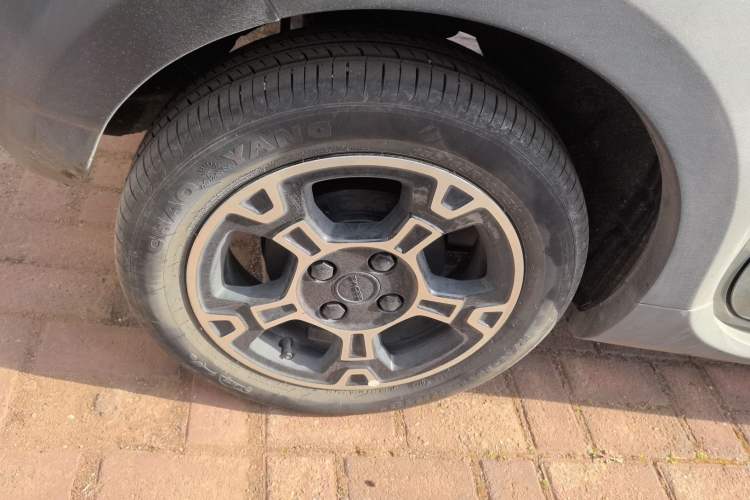 Used  Panda 2024 200km Panda Rider