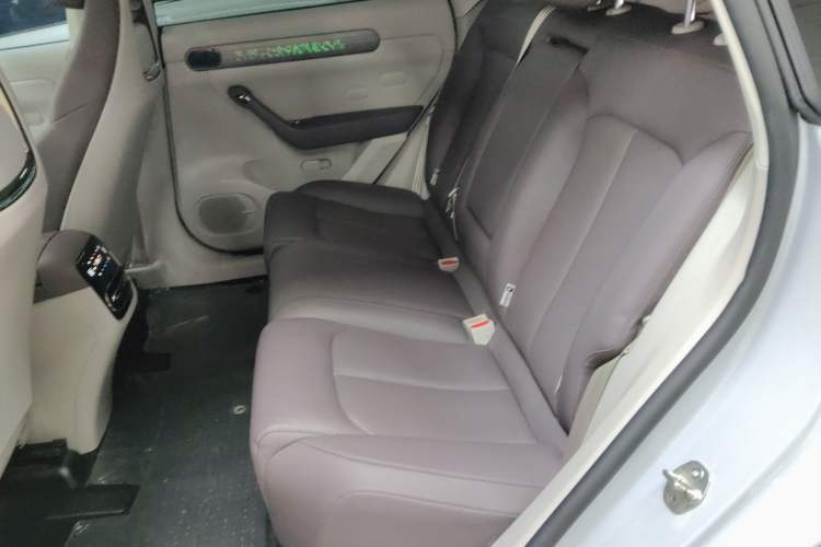 Used Leapmotor C11 2023 Pure Electric 500 Smart Edition
