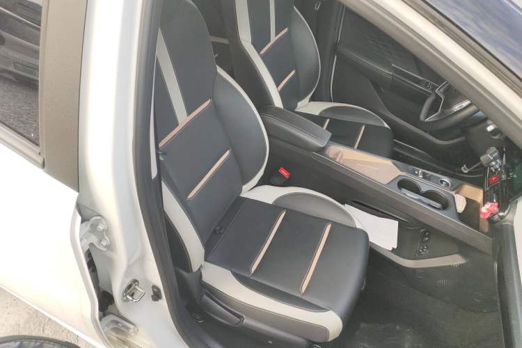 Used SOL E10X 2022 Flower Fairy Style Baby's Breath
