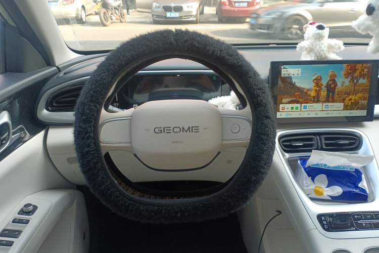 Used  Geome 2025 310km Youth Edition