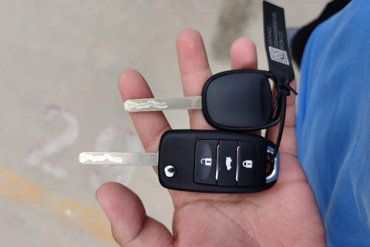 Used  Lumin 2024 130km Qingyue Version
