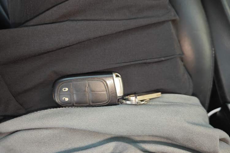 Used  Cherokee 2017 2.4L Professional Smart Edition
