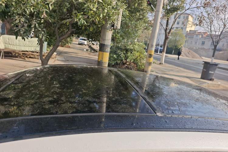 Used Nissan Teana 2019 2.0L XL Upper SmartDrive Version
