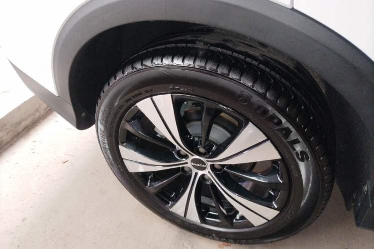 Used Roewe RX5 2020 PLUS 300TGI Manual Ali National Style Luxury Edition
