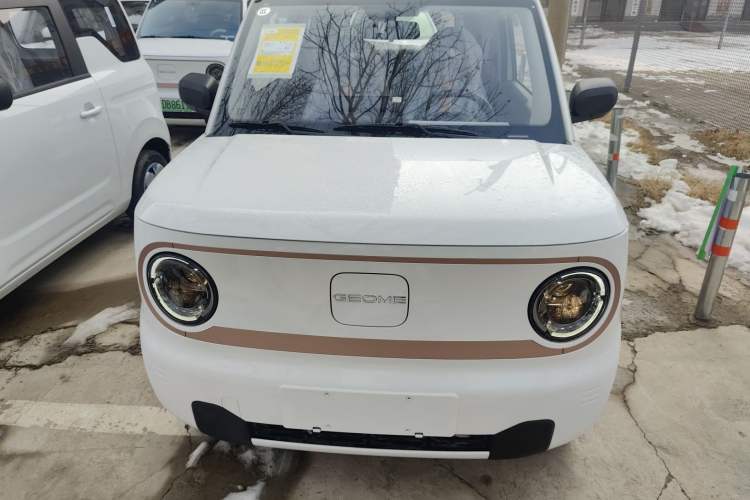Used  Panda 2024 Panda Mini 200km Endurance Bear
