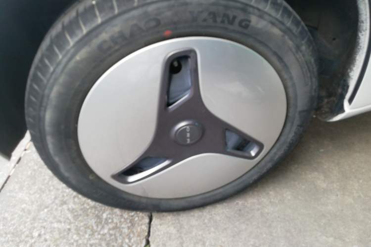 Used ORA White Cat 2020 360km Standard Version
