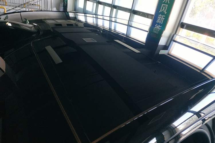 Used  06 2025 Max Extended-Range Edition
