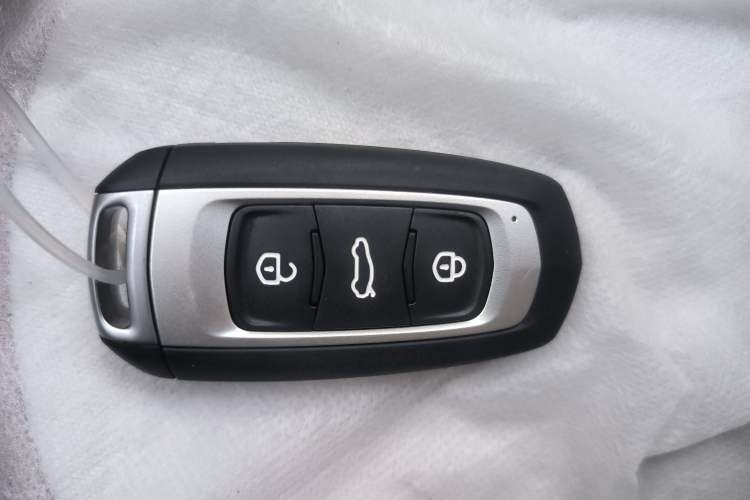 Used  Panda 2025 210 km – Yuanqi Bear