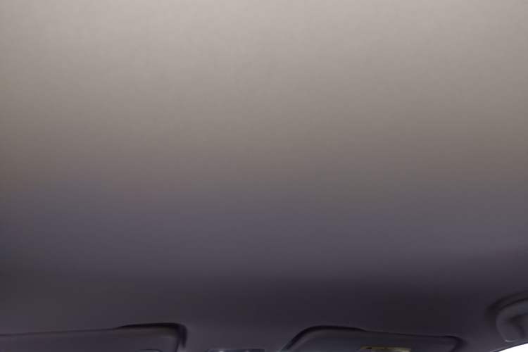 Used NETA V 2021 Standard Range Entertainment Edition