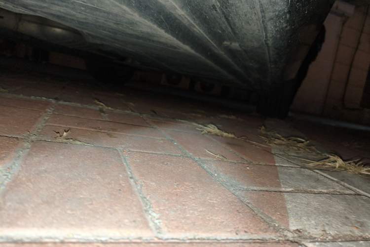 Used Mercedes-Benz E-Class 2019 Restyled E 300 L Luxury Edition
