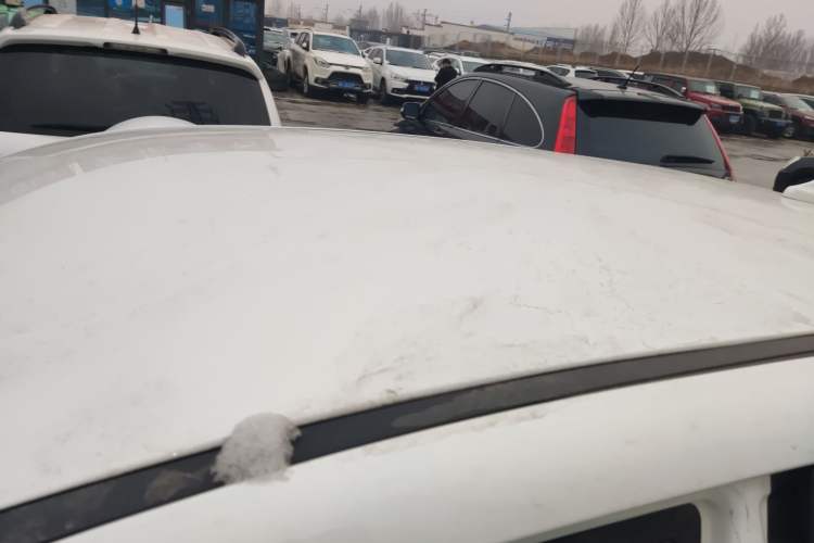 Used Dayun Yuehu 2022 30.66 kWh Two-Wheel Drive Standard Version