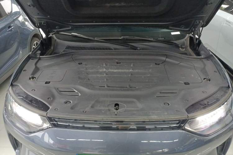 Used Leapmotor C11 2023 Pure Electric 500 Comfort Edition
