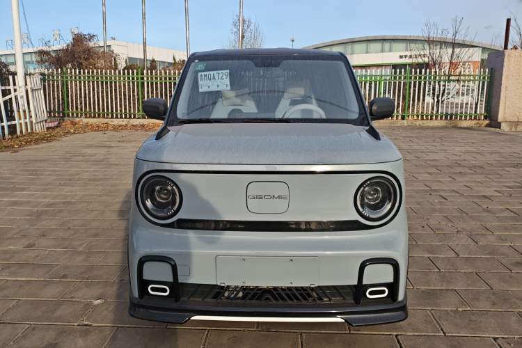 Used  Panda 2025 210km Panda Kart