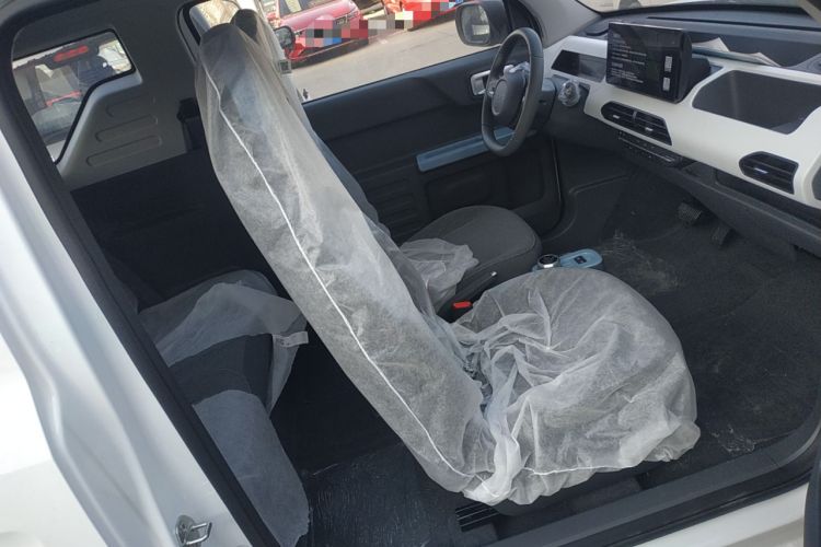 Used  Panda 2024 Panda Mini 200km Endurance Bear
