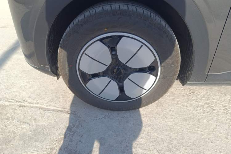 Used  Geome 2025 310km Youth Edition