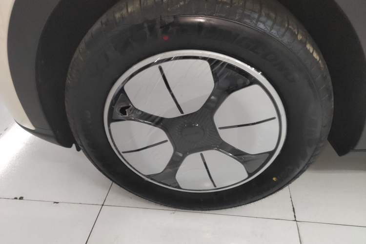 Used  Geome 2025 310km Youth Edition
