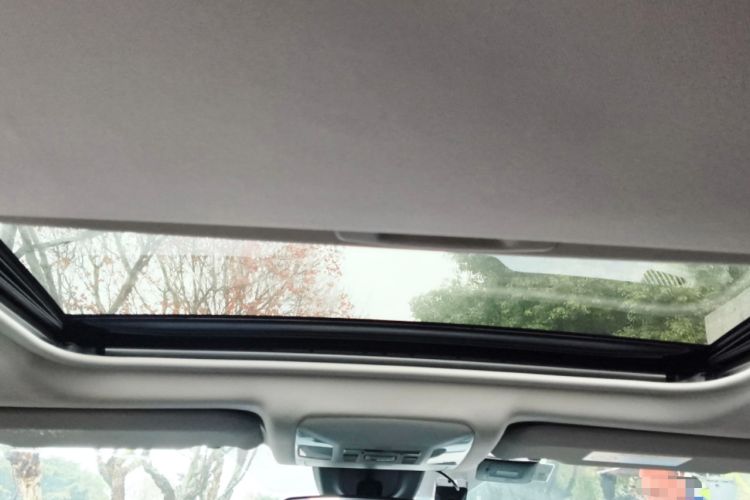 Used Toyota Wildlander 2020 2.0L CVT Two-Wheel Drive Luxury Edition
