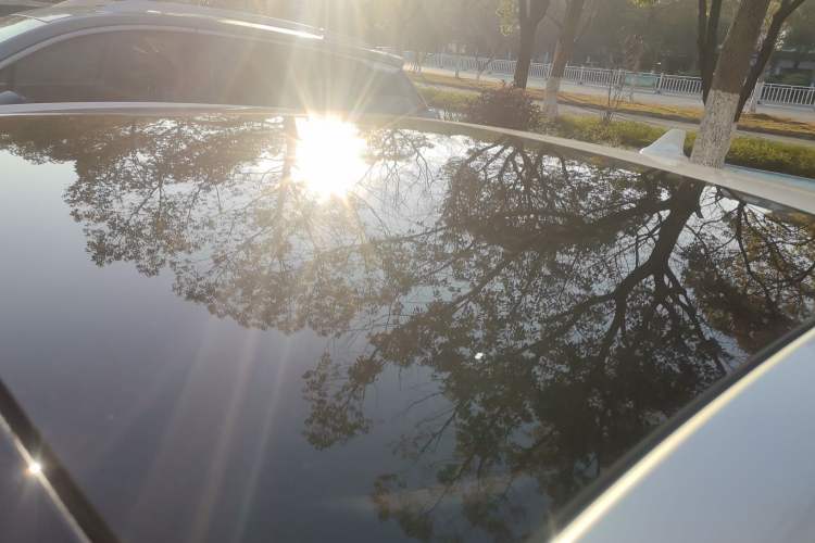 Used Ford Focus 2019 Sedan EcoBoost 125 Automatic Trendy Model China V Standard