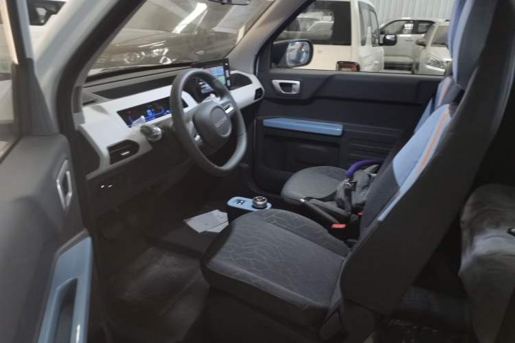 Used  Panda 2024 Panda Mini 200km Endurance Bear
