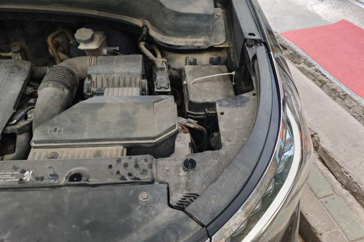 Used Kia Sportage R 2018 2.0L Automatic Smart Luxury Version China V Standard
