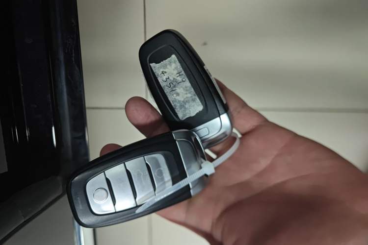 Used Hongqi H9 2020 Revised Version 2.0T Smart Connect Flagship Edition