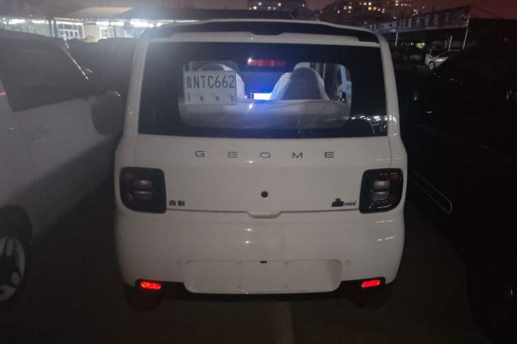 Used  Panda 2025 210 km – Yuanqi Bear

