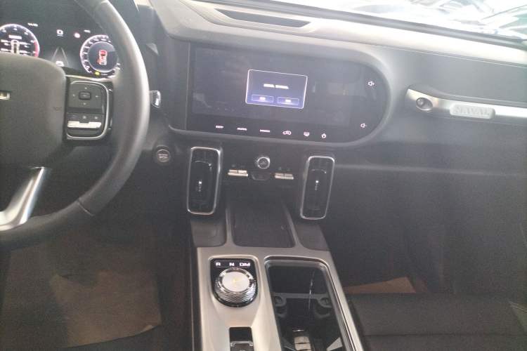 Used Haval DARGO 2024 2.0T DCT Chinese Rural Dog Edition