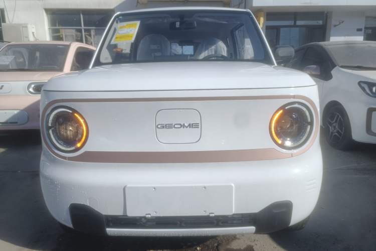 Used  Panda 2024 Panda Mini 200km Endurance Bear
