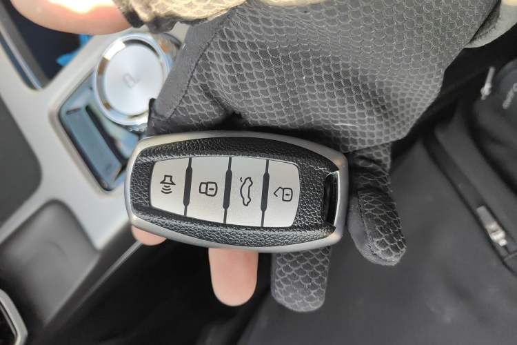 Used Haval DARGO 2024 2.0T DCT Chinese Rural Dog Edition